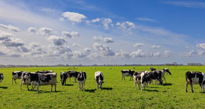 UK's BSE risk status downgraded